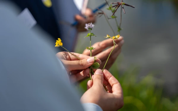 Hoe verdienen aan biodiversiteit?